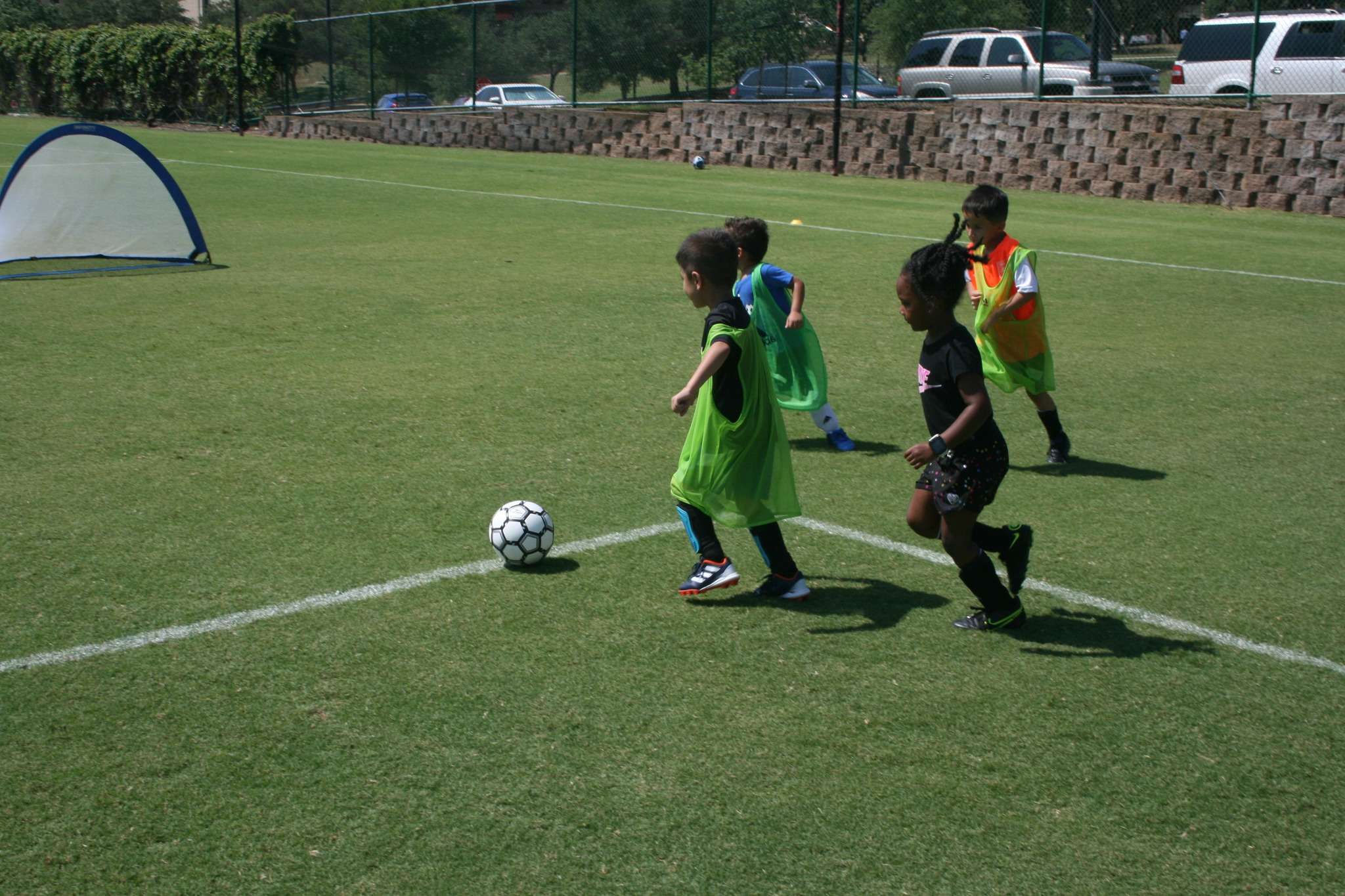 July 2024 Half Day Camp  event image
